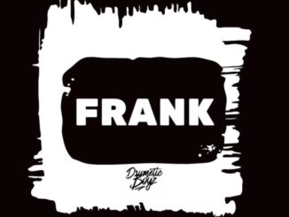 DrumeticBoyz – Frank