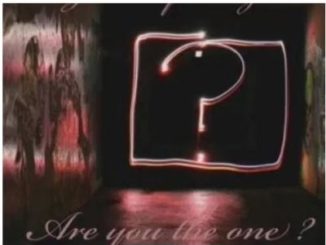 NSJ – Are you the one mp3 download