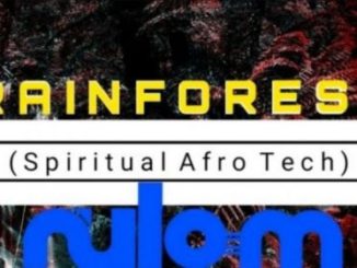 Nylo M – Rainforest (Spiritual Afro Drum) mp3 dowload
