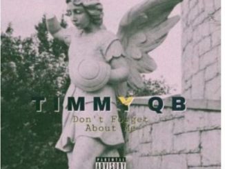 Timmy QB – Too Much To Say Ft. Paradise