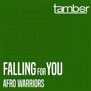 Afro Warriors – Falling For You (Original Vocal) mp3 download