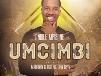 Andile Mpisane – Umcimbi Ft. Madanon & Distruction Boyz Mp3 download