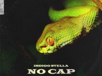 Indigo Stella ft LNLYBOY – No Cap Mp3 download