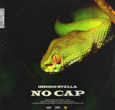 Indigo Stella ft LNLYBOY – No Cap Mp3 download