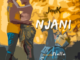 JayK Ft. Nalla – Njani mp3 dwnload