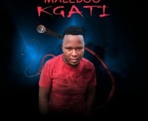 Maleboo – Kgati mp3 download
