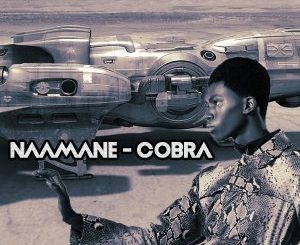 NAAMANE – Cobra Mp3 dowload