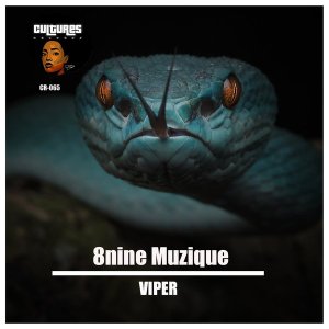 8nine Muzique – Viper mp3 download