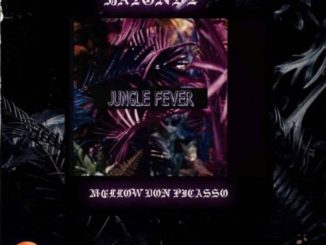 Batondy – Jungle Fever Ft. Mellow Don Piccaso mp3 download