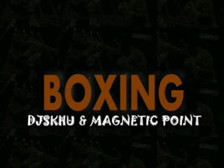 DJ Skhu & Magnetic Point – Boxing Mp3 download