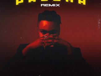 DJ Tunez – Paloma (Remix) (Amapiano) Ft. D3AN, Alpha P Mp3 download