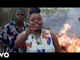 Distruction Boyz – Ubumnandi Ft. DJ Tira, Dladla Mshunqisi & Feerless Boyz Mp4 Download