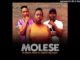 Dj Mimmz Africa - Molese Ft. Cupid & Morongwe (Original) mp3 download