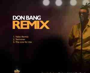 Don Bang – Yebo Remix mp3 download