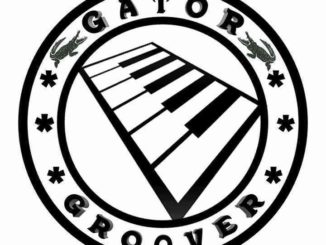 Gator Groover – Space (Dance Mix) mp3 download