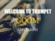 King Saiman – Violin Vs Trumpet ft. Dj Zebra Musiq SA & Pro-Tee mp3 download