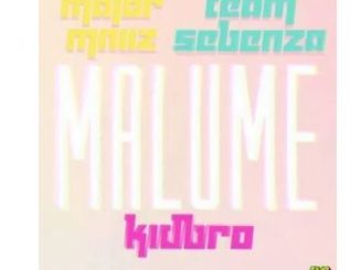 Major Mniiz & Team Sebenza – Malume Ft. Kidbro mp3 download