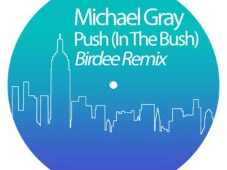 Michael Gray – Push (In The Bush) (Birdee Remix)