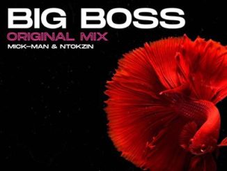 Mick-Man & Ntokzin – Big Boss mp3 download