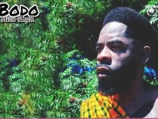 Mizo Phyll – Bodo mp3 download