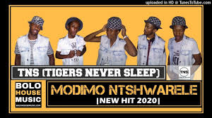 Modimo Ntshwarele - TNS (Tigers Never Sleep)