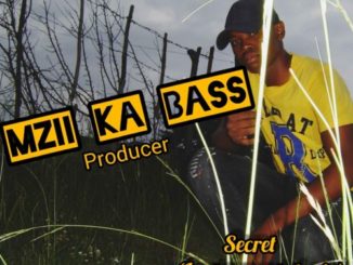 Mzi Ka Bass – Secret (Instrumental Mix) Mp3 download