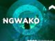 NGWAKO – The Deeper We Get Album Zip download