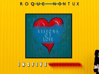 Roque & Nontu X – Visions Of Love (InQfive Special Touch) Mp3 download