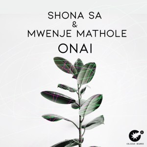 Shona SA & Mwenje Mathole – Onai (Original Mix) Mp3 download