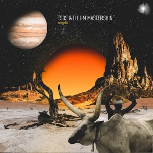 TSOS & DJ Jim Mastershine – Polanete Mp3 download