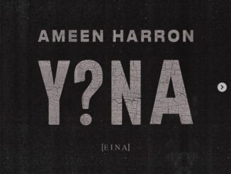 Ameen Harron – Y?NA (EINA) Ft. YoungstaCPT & Nadia Jaftha mp3 download