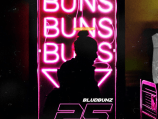 Bludbunz – 25 mp3 download