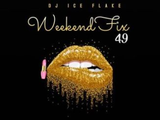 Dj Ice Flake – WeekendFix 49 2020 mp3 download