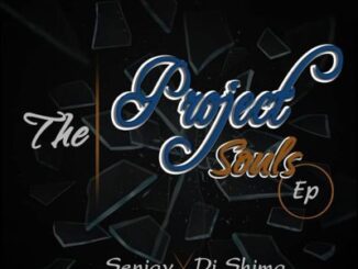 Dj Shima & Senjay – The Project Souls zip download