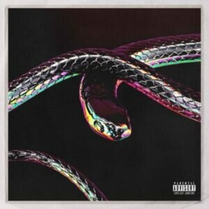 Don Design – Python Ft. AKA & Moozlie mp3 download