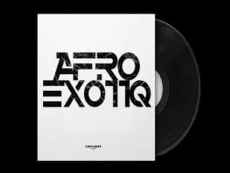 LeGoody, Kamza Heavypoint & Peekay Mzee – Sukoyika (Afro Exotiq Remix) Ft. Donald