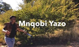 Mnqobi Yazo – Labhubha mp3 download