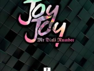Mr Dlali Number – Joy Joy mp3 download