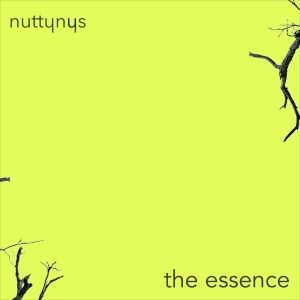 Nutty Nys – The Essence Mp3 download