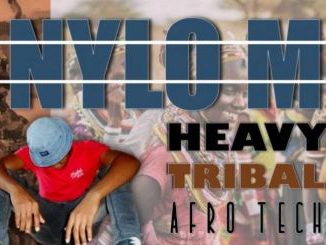 Nylo M – Heavy Tribal (Afro Tech) mp3 download