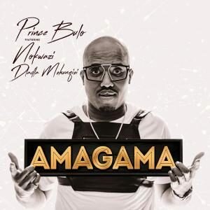 Prince Bulu – Amagama ft. Nokwazi & Kyotic (Felo Le Tee Remix)