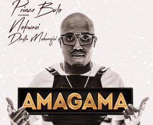 Prince Bulu – Amagama ft. Nokwazi & Kyotic (Felo Le Tee Remix)