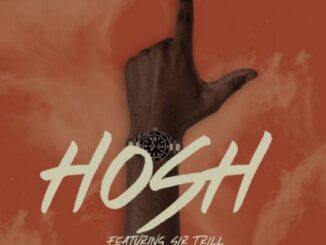 Prince Kaybee – Hosh Ft. Sir Trill mp3 download