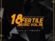 Tweegy – Fertile Music Vol. 18 mp3 download