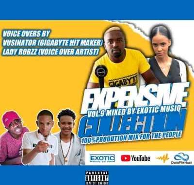 Unlimited Soul & Exotic Musiq – Expensive Collection Vol. 9 mp3 download