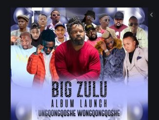 Big Zulu – Ungqongqoshe Wongqongqoshe album download