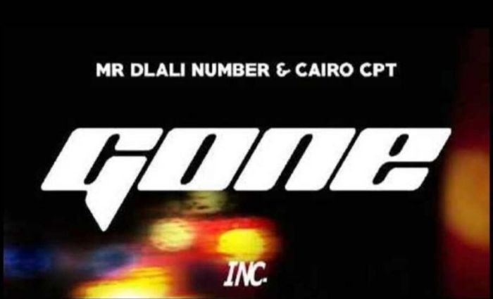 Mr Dlali Number & Cairo CPT – Gone