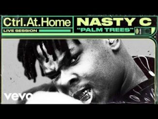 Nasty C – Palm Trees (Live Session)