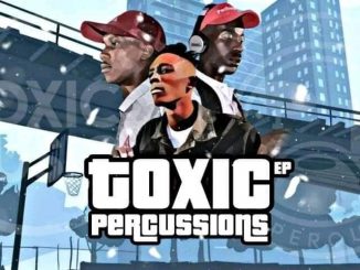 Team Percussion & Toxic MusiQ – Toxic Percussions zip download