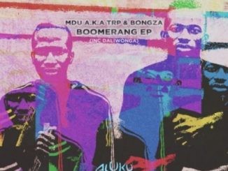 MDU aka TRP & Bongza – Boomerang Zip download